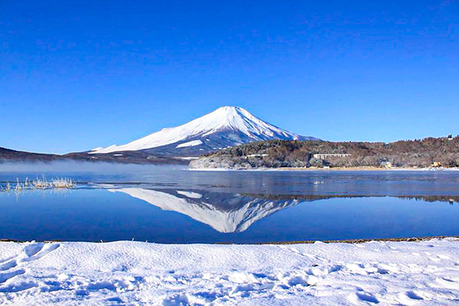 富士山はアナタを待ってます(GoTo山中湖宿泊割り)