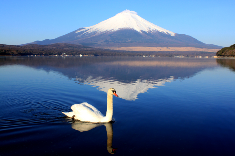 早朝 穏やかな山中湖 逆さ富士が眺められた インターリゾート東屋 山中湖 スポーツ合宿 野球 サッカー テニス